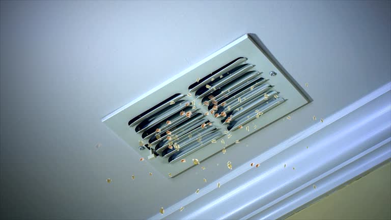 Best Affordable Duct Cleaning Services  in Culver City, CA