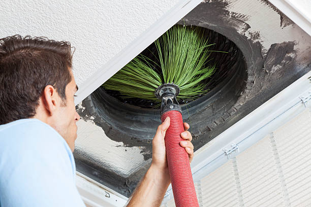 Best Dryer Vent Cleaning Services  in Culver City, CA